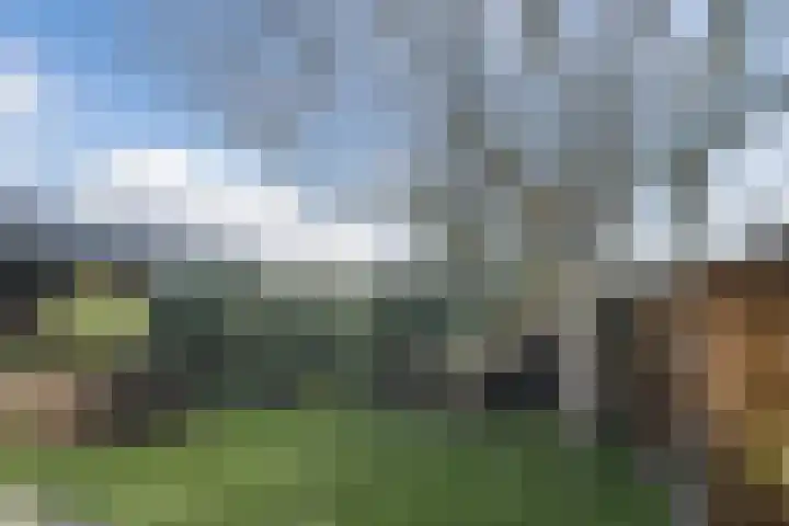 Vergulde Draeckweg 11 Hoek van Holland thumbnail 37
