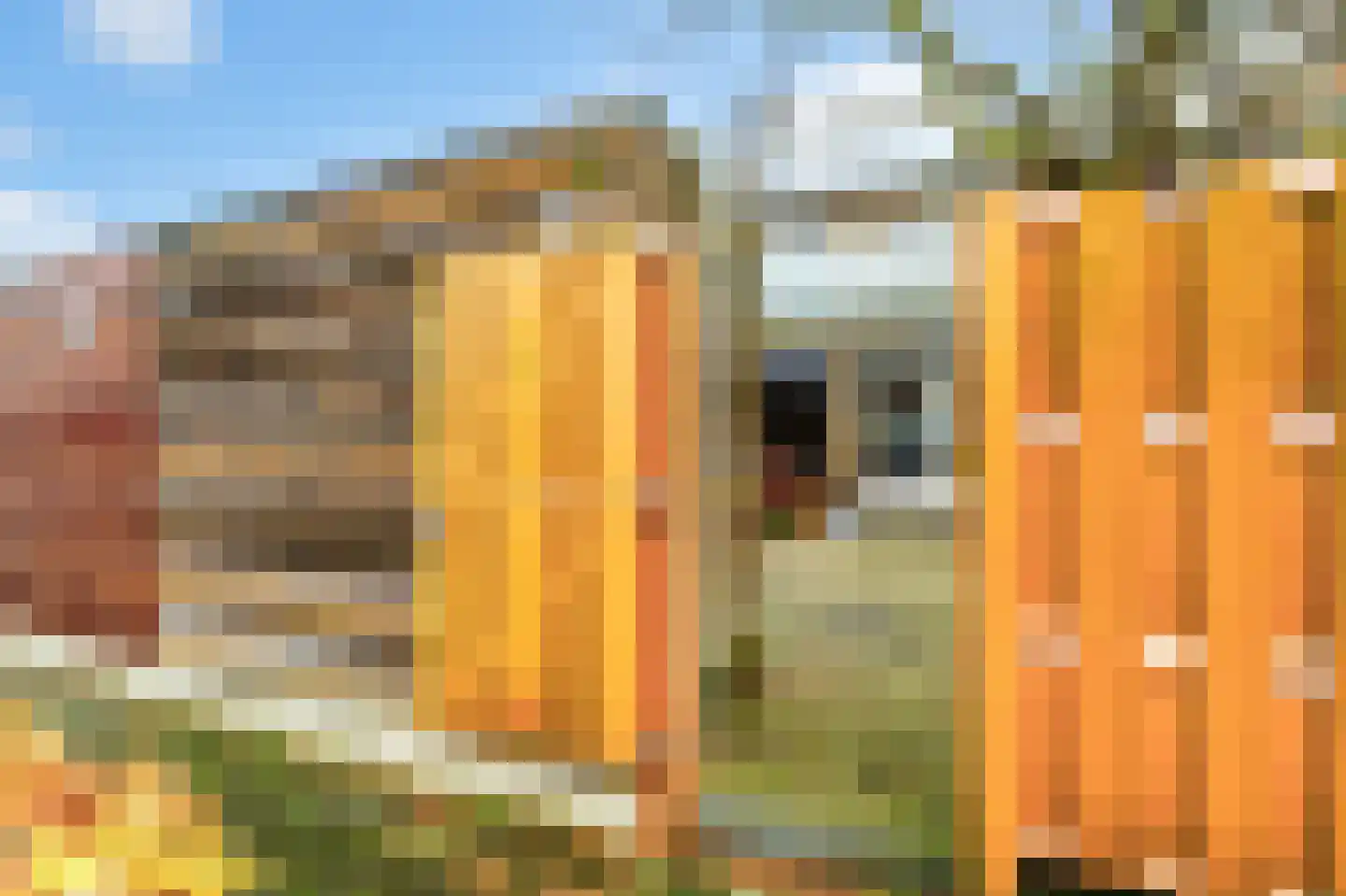 Vergulden Wagen 31 Diemen thumbnail 44