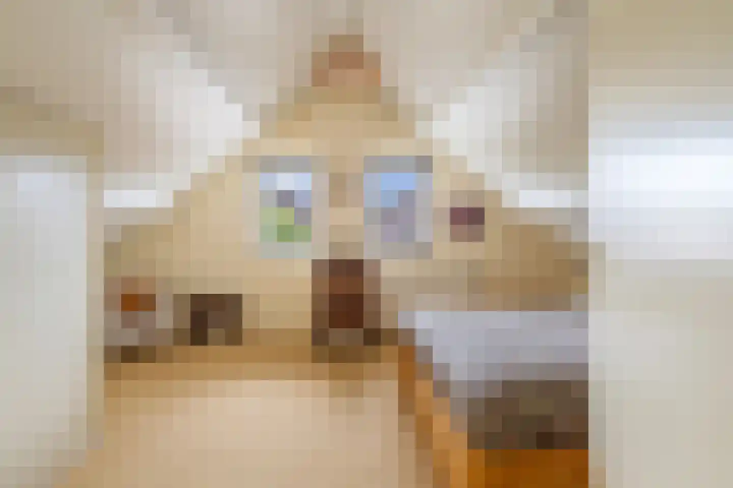 Verhaegenpark 9 Hoeven thumbnail 27