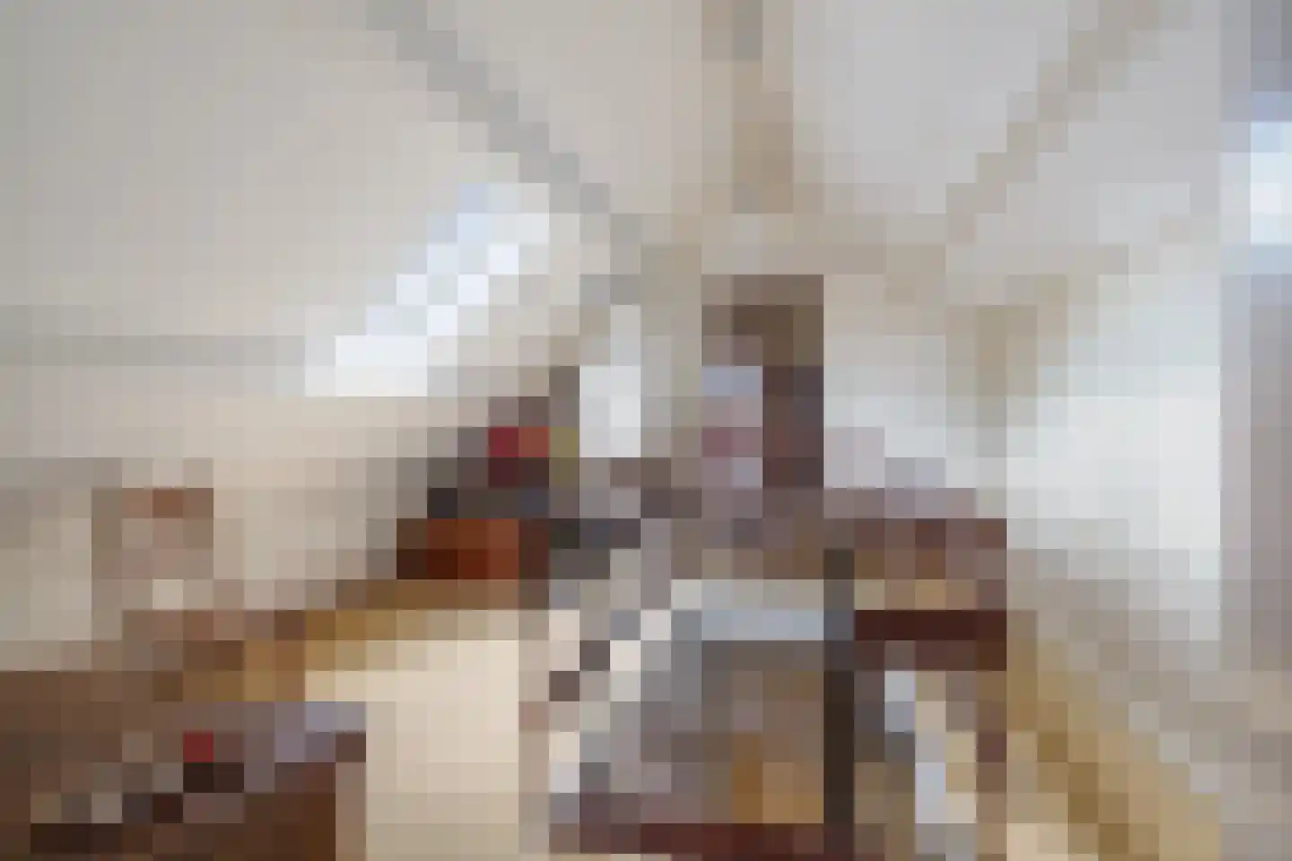 Verhaegenpark 9 Hoeven thumbnail 30