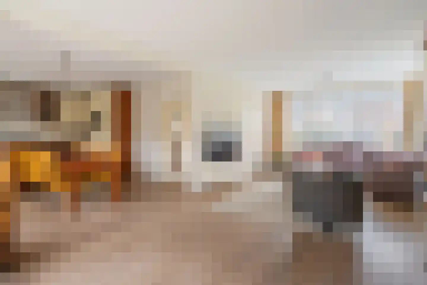 Verhaegenpark 9 Hoeven thumbnail 5