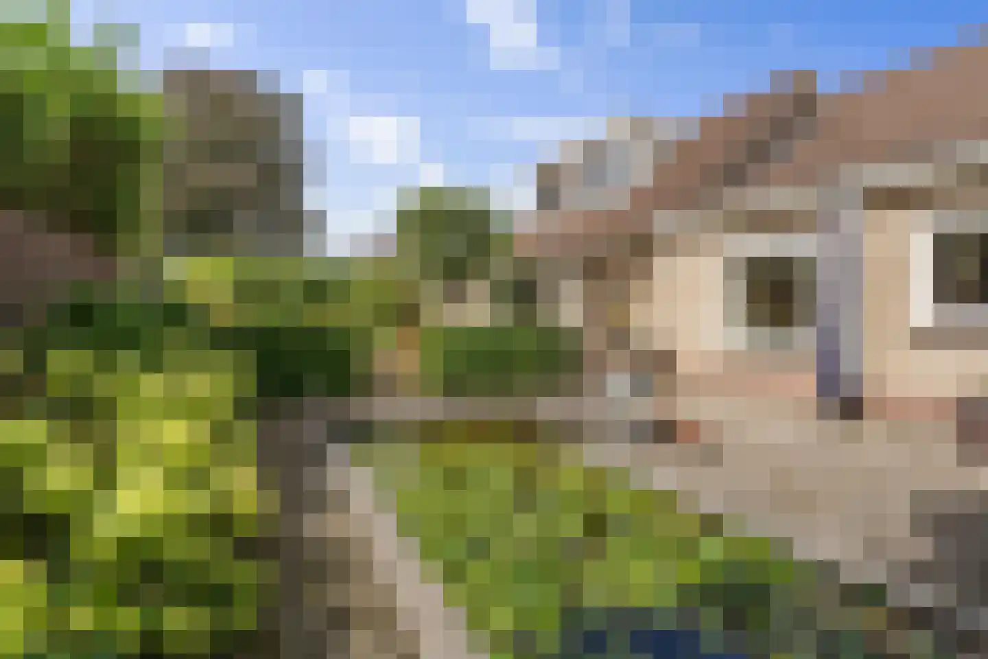 Verhaegenpark 9 Hoeven thumbnail 55