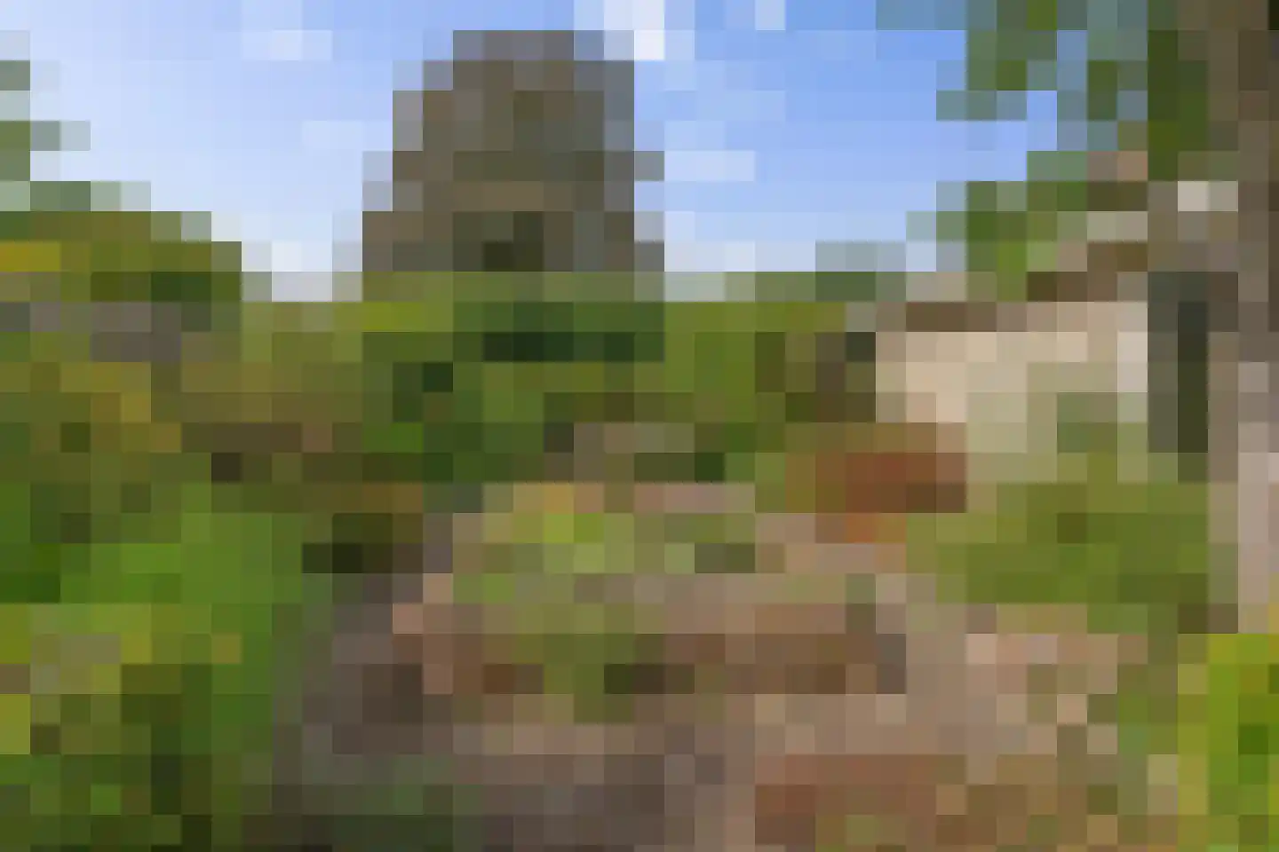 Verhaegenpark 9 Hoeven thumbnail 56