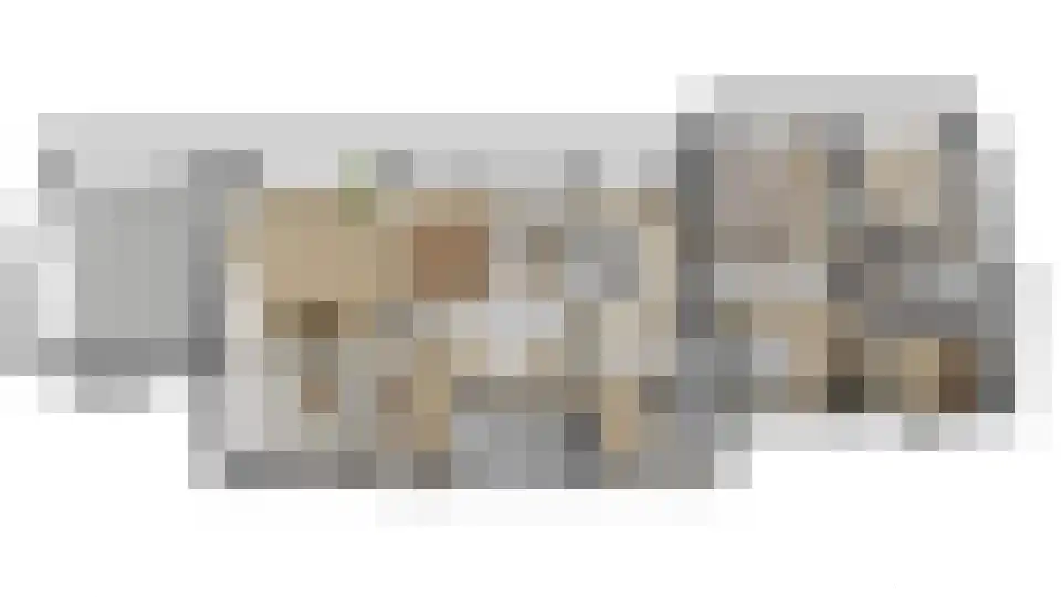 Verhaegenpark 9 Hoeven thumbnail 65