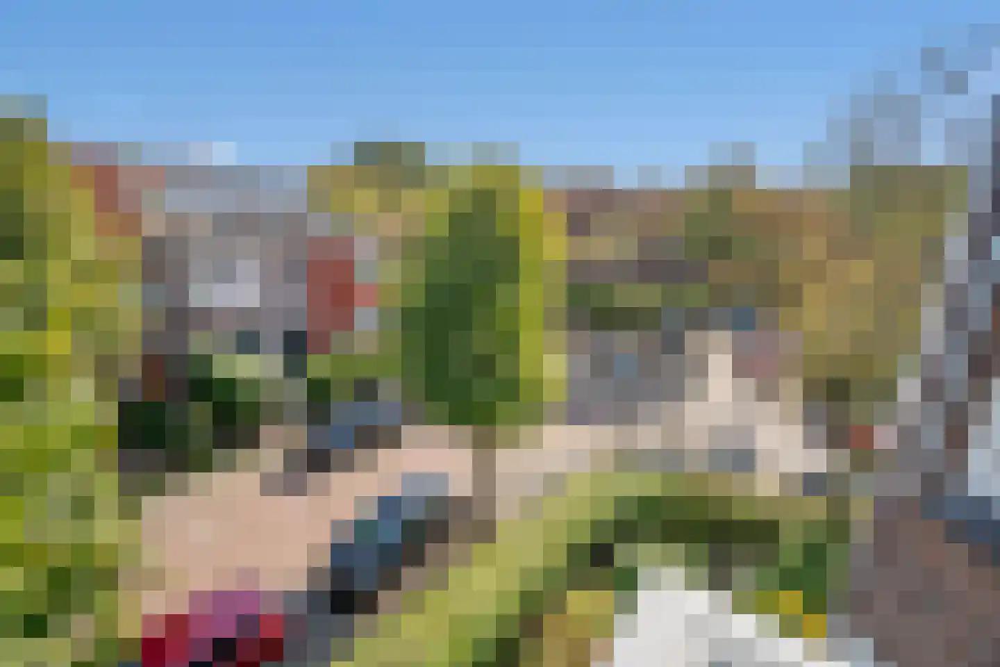 Verhagen Metmanstraat 106 Rijswijk thumbnail 24