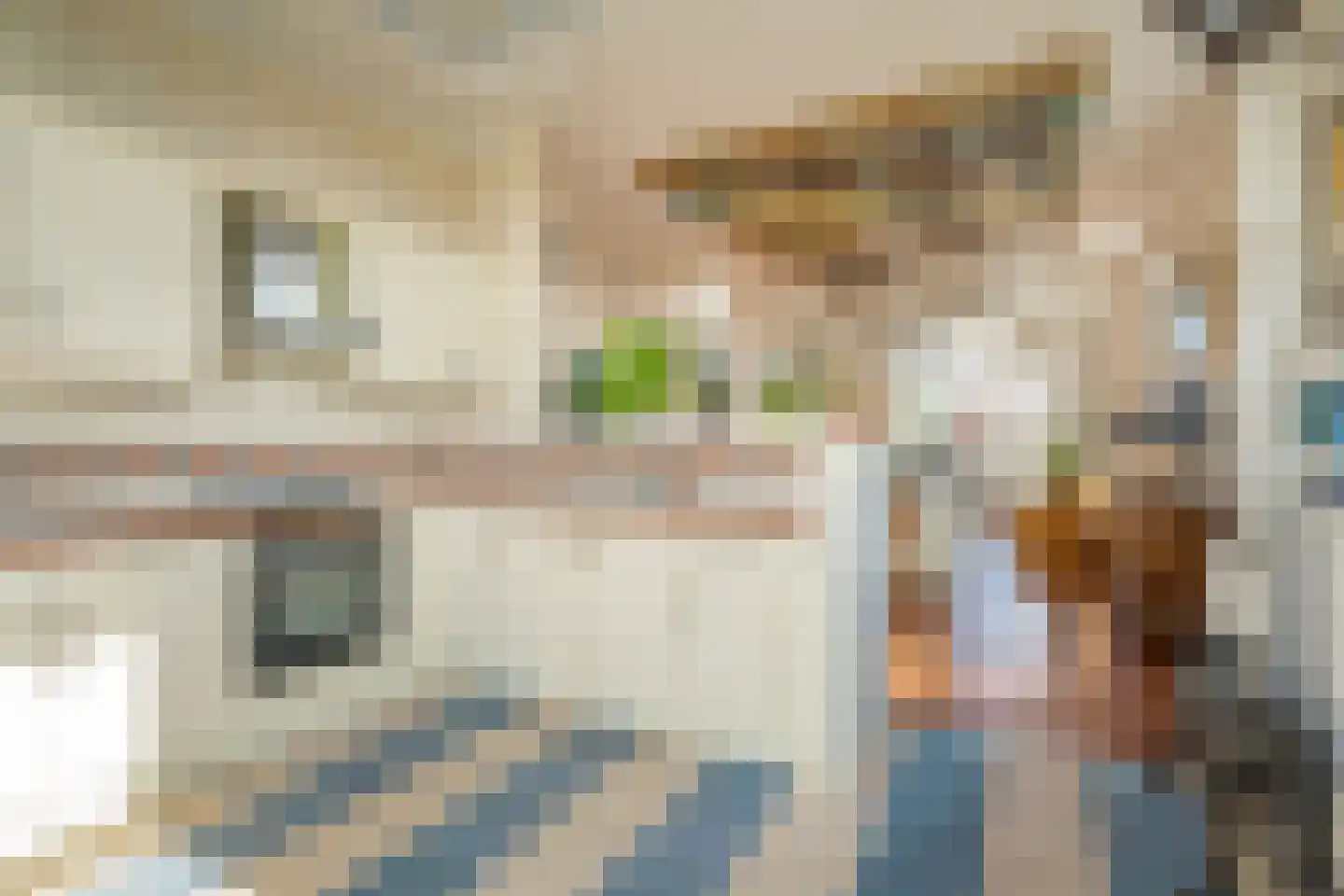 Verhagen Metmanstraat 106 Rijswijk thumbnail 5