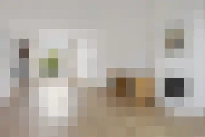 Verhagen Metmanstraat 16 a Rijswijk thumbnail 6