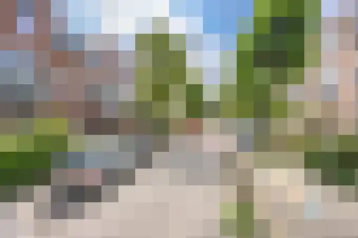 Verhagen Metmanstraat 3 Rijswijk thumbnail 29