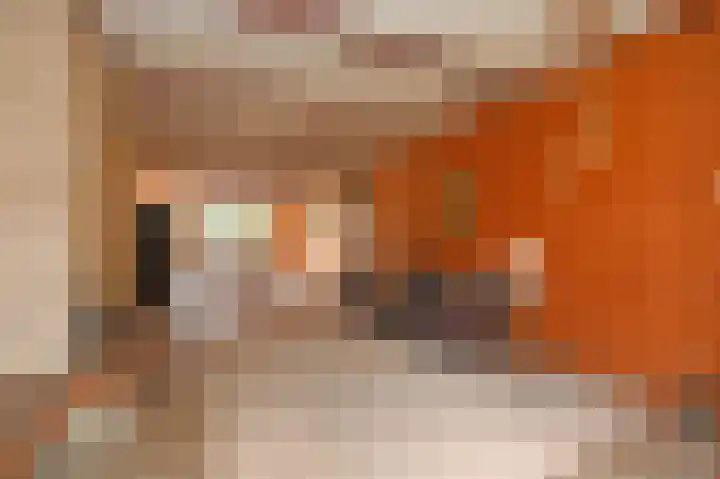 Verhagen Metmanstraat 3 Rijswijk thumbnail 4