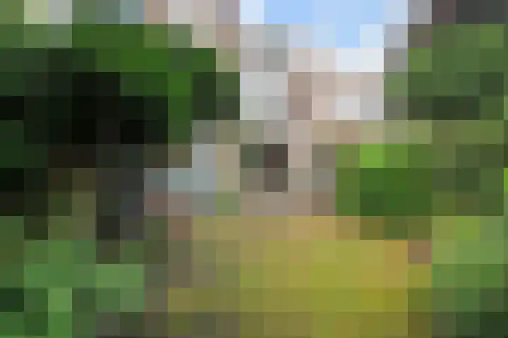 Verhagen Metmanstraat 3 Rijswijk thumbnail 9