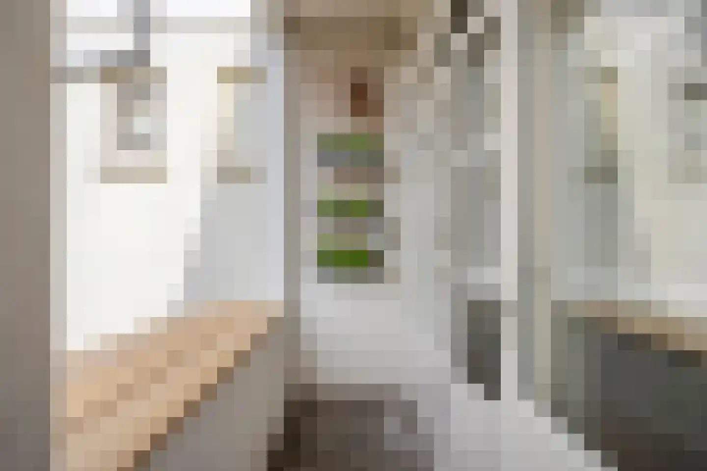 Verhagen Metmanstraat 36 Rijswijk thumbnail 13