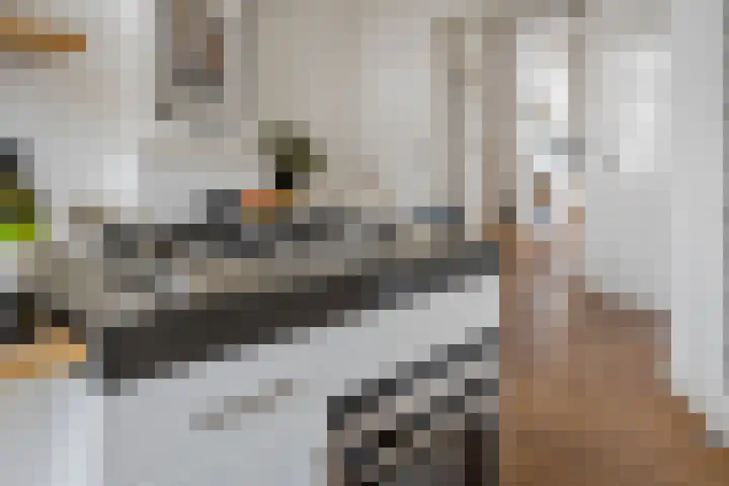 Verhagen Metmanstraat 36 Rijswijk thumbnail 18