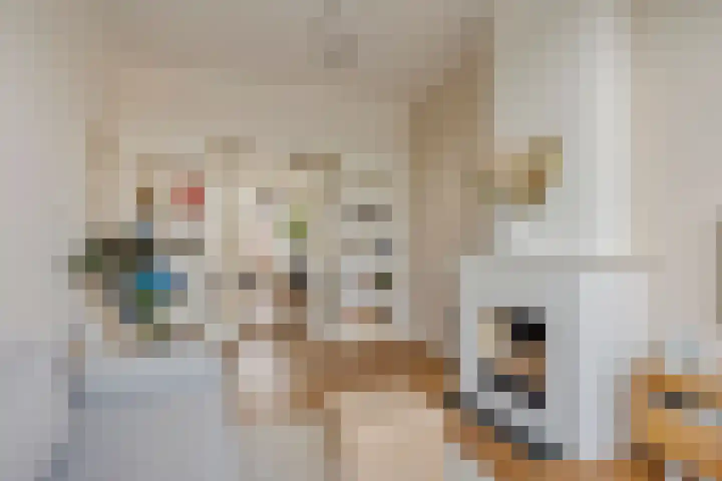 Verhagen Metmanstraat 36 Rijswijk thumbnail 6