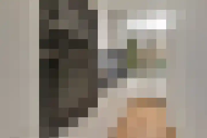 Verhagen Metmanstraat 37 Rijswijk thumbnail 7