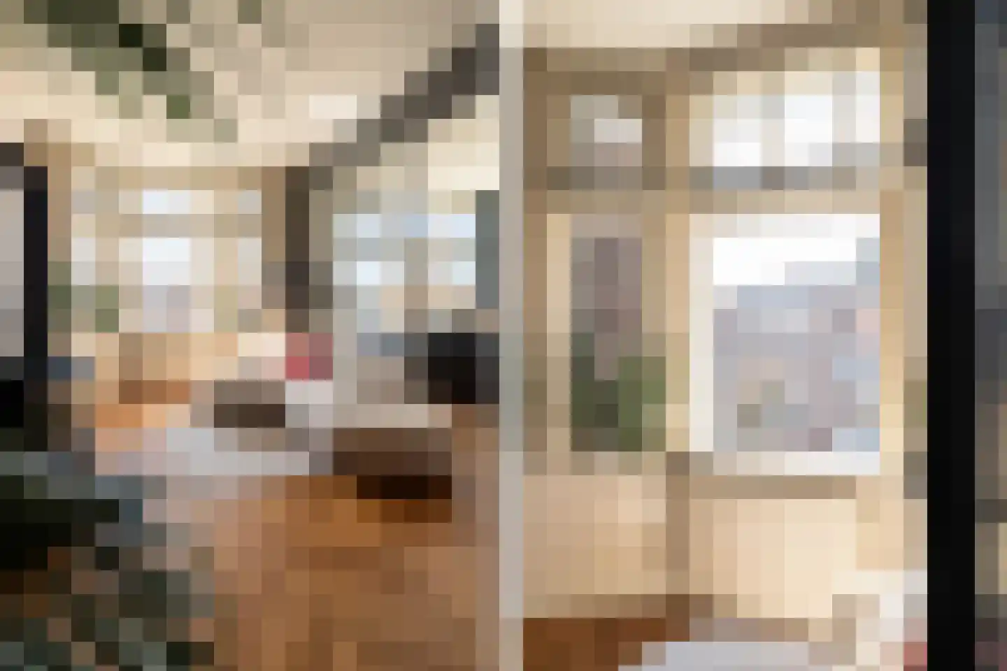 Verhagen Metmanstraat 47 Rijswijk thumbnail 15