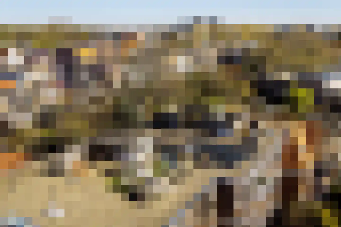 Verhagen Metmanstraat 47 Rijswijk thumbnail 31
