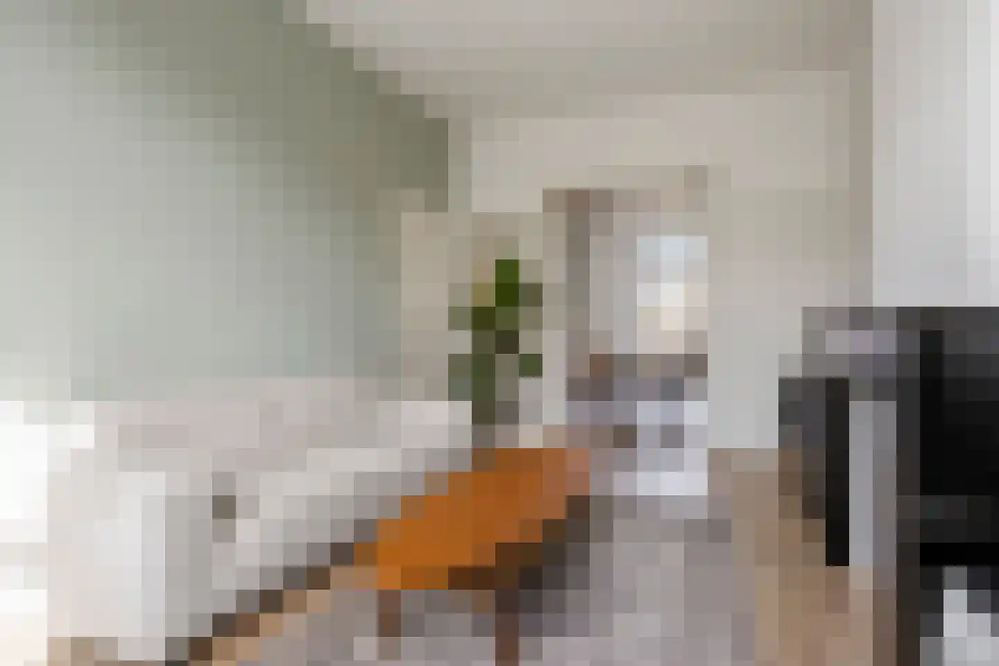 Verhagen Metmanstraat 49 Rijswijk thumbnail 4