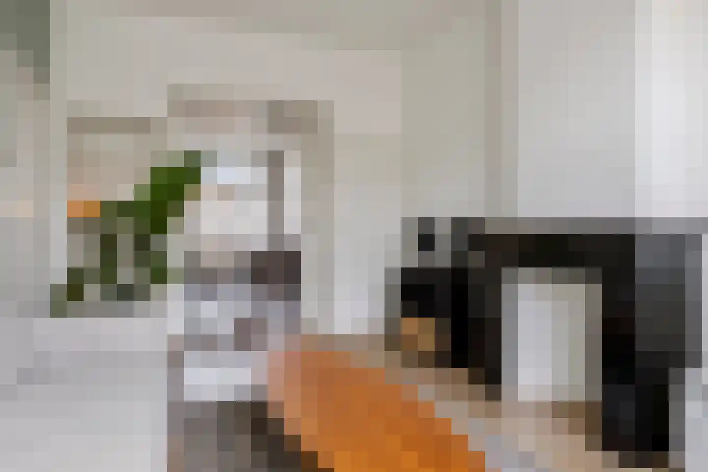 Verhagen Metmanstraat 49 Rijswijk thumbnail 6