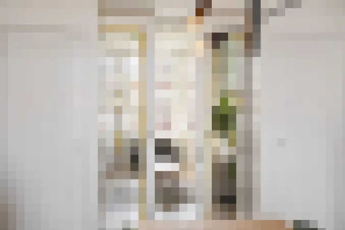Verhagen Metmanstraat 49 Rijswijk thumbnail 7