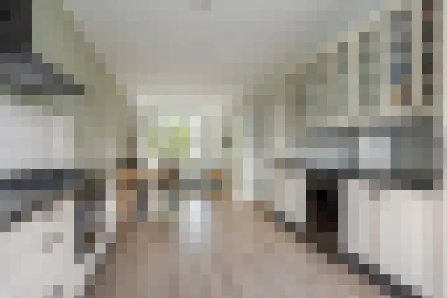 Verhagen Metmanstraat 78 Rijswijk thumbnail 13