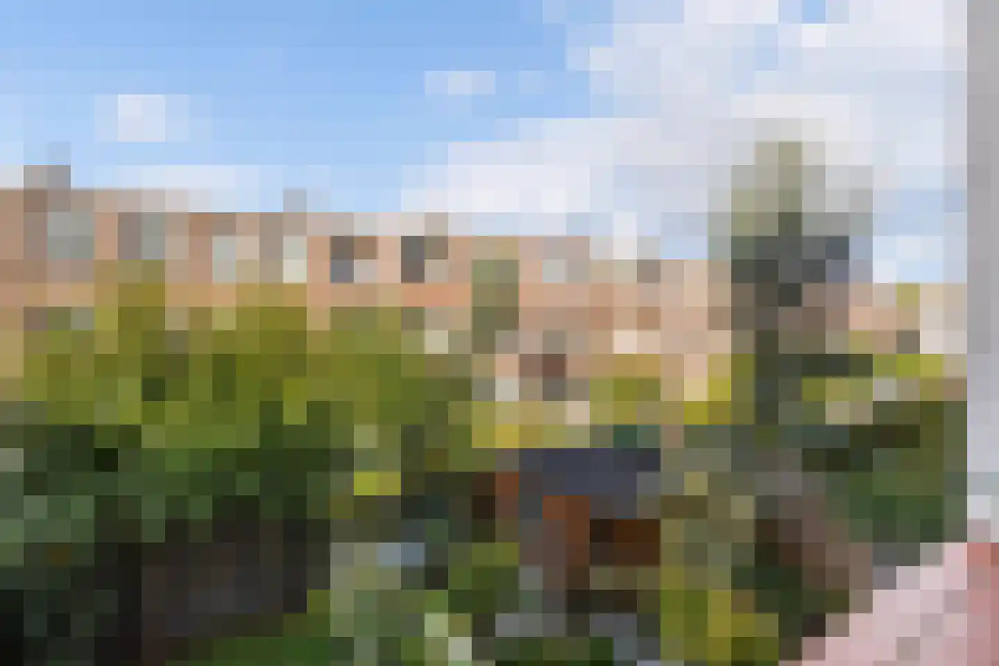 Verhagen Metmanstraat 78 Rijswijk thumbnail 18