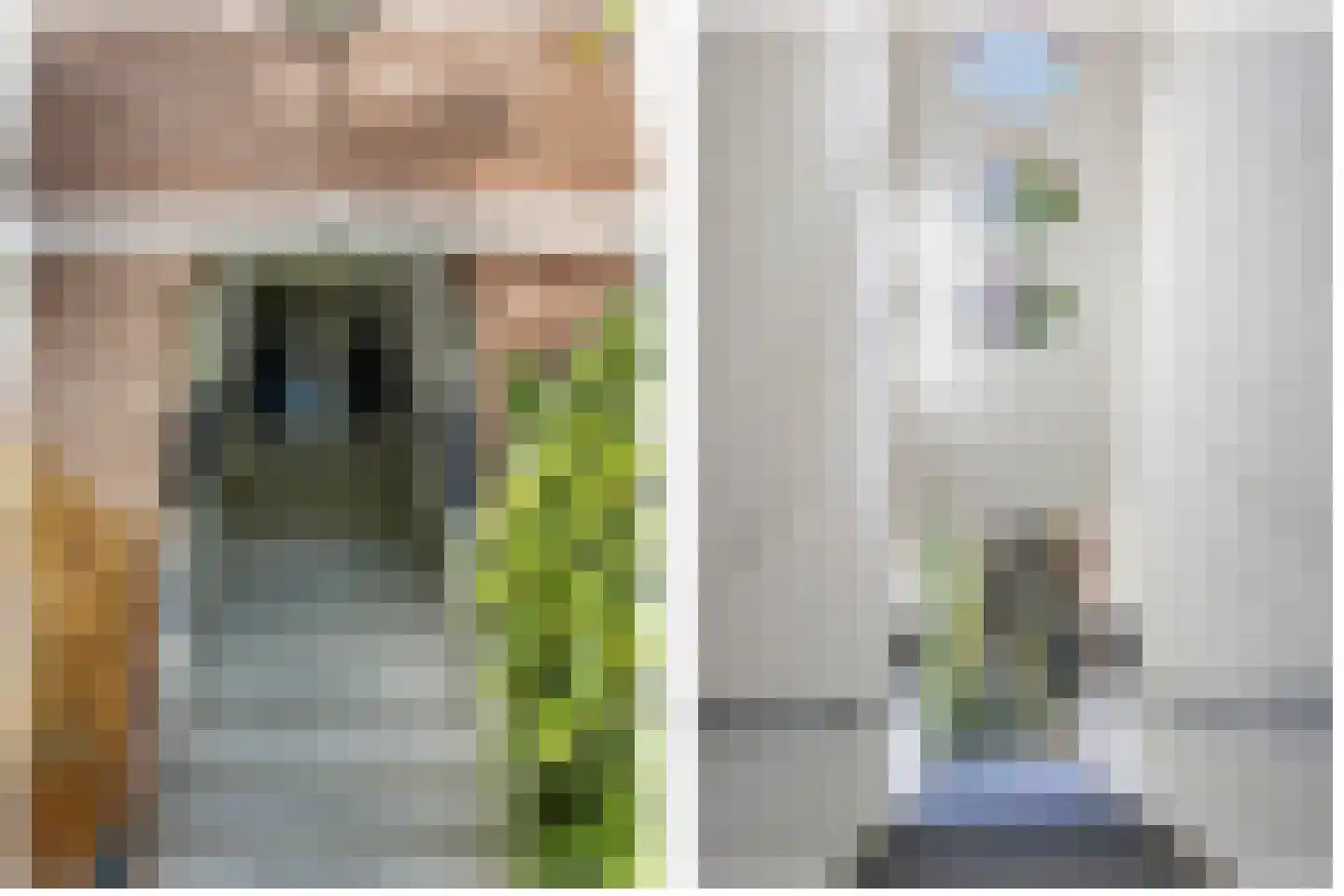 Verhagen Metmanstraat 78 Rijswijk thumbnail 33