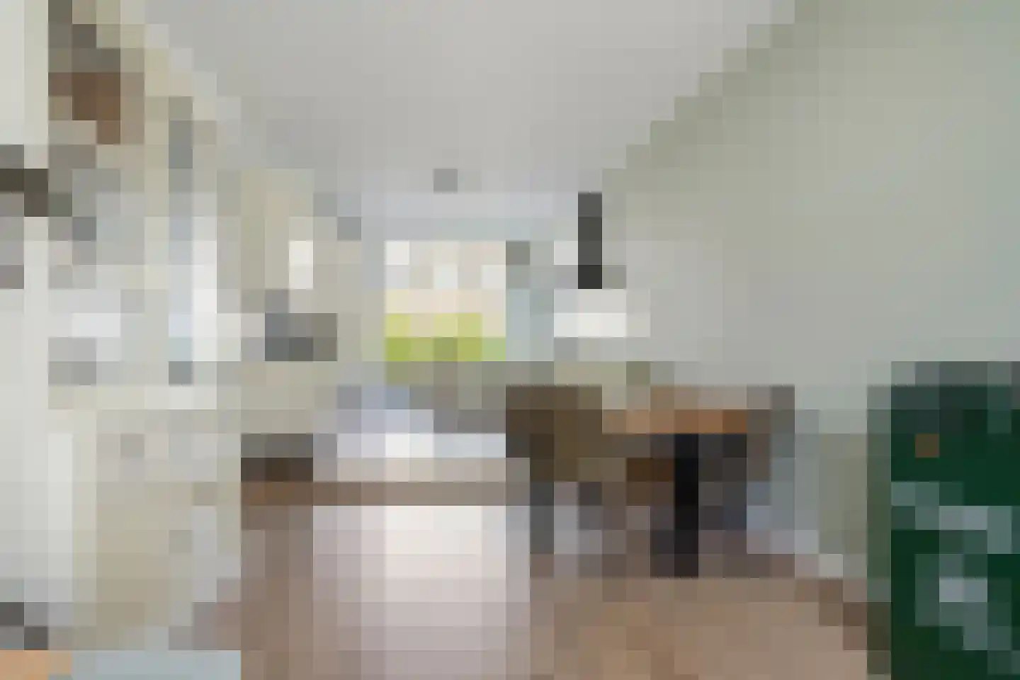 Verhagen Metmanstraat 78 Rijswijk thumbnail 8