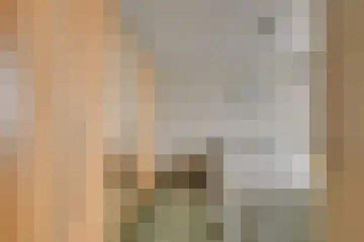 Verhagenplein 35 Naaldwijk thumbnail 11