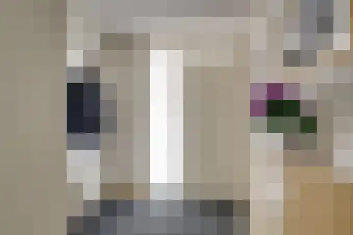 Verhagenplein 35 Naaldwijk thumbnail 18