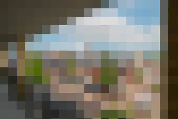 Verhagenplein 35 Naaldwijk thumbnail 20