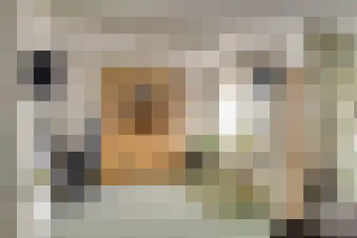 Verhagenplein 35 Naaldwijk thumbnail 7