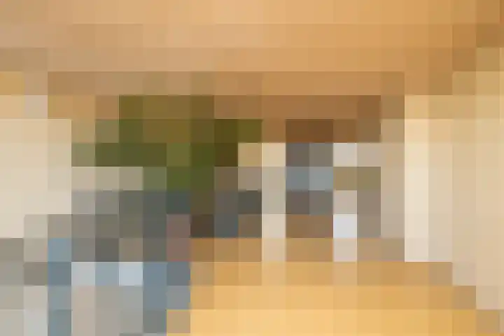 Verhagenplein 46 Naaldwijk thumbnail 6