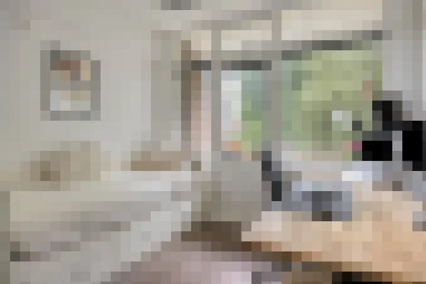 Verhagenstraat 22 Rotterdam thumbnail 9