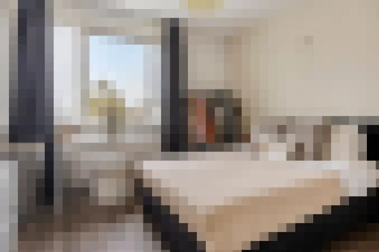 Verhagenstraat 22 Rotterdam thumbnail 8