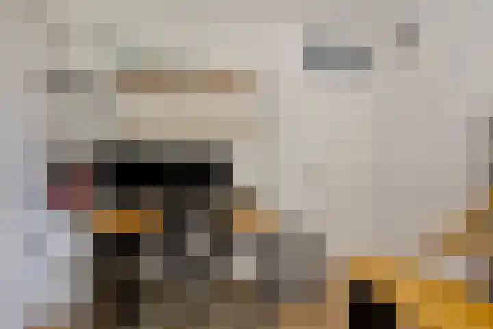 Verhagenstraat 28 Rotterdam thumbnail 27