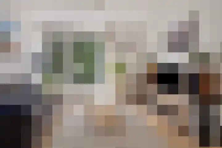 Verhagenstraat 28 Rotterdam thumbnail 7