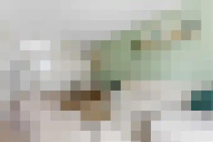 Verhagenstraat 8 Rotterdam thumbnail 10