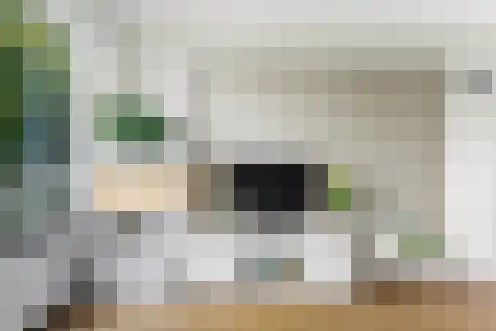 Verhagenstraat 8 Rotterdam thumbnail 9