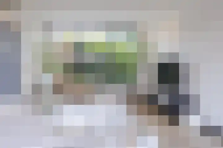 Verhammestraat 8 Heemskerk thumbnail 16