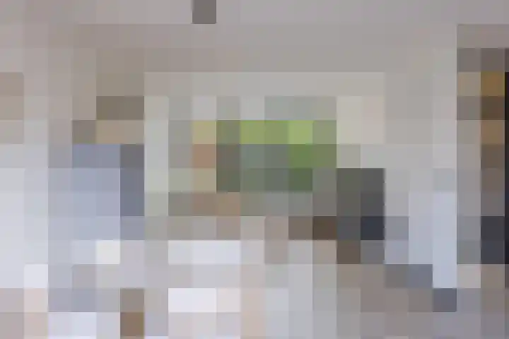 Verhammestraat 8 Heemskerk thumbnail 18