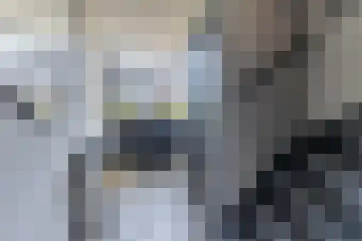 Verhammestraat 8 Heemskerk thumbnail 31