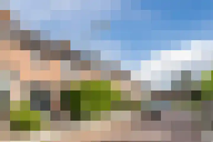 Verhammestraat 8 Heemskerk thumbnail 4