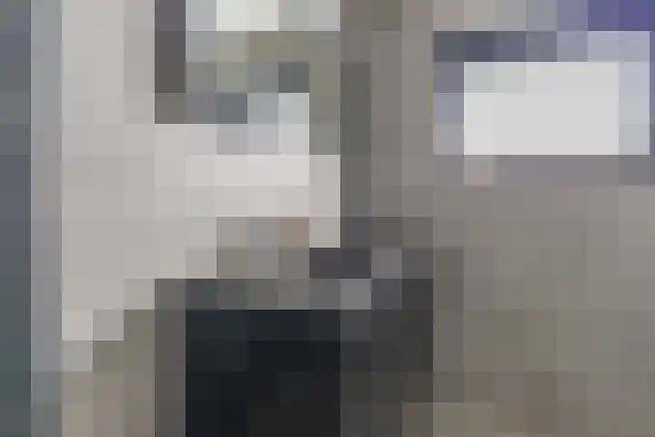 Verhammestraat 8 Heemskerk thumbnail 41