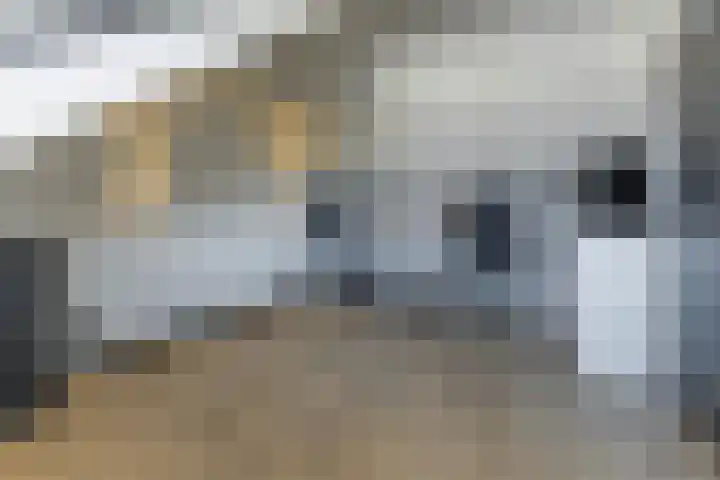 Verhammestraat 8 Heemskerk thumbnail 49