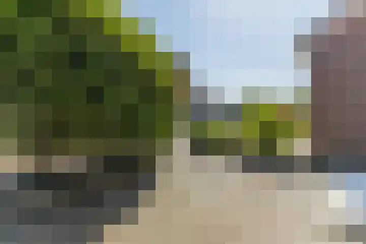 Verhammestraat 8 Heemskerk thumbnail 55