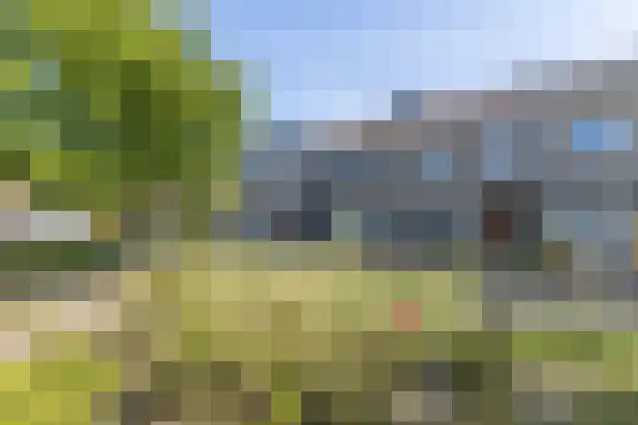 Verhammestraat 8 Heemskerk thumbnail 56