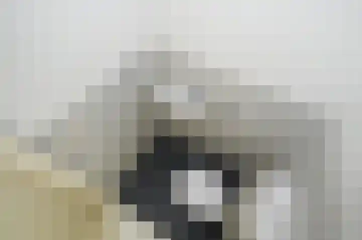 Verheeskade 343 Den Haag thumbnail 18