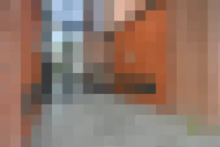 Verheeskade 343 Den Haag thumbnail 20