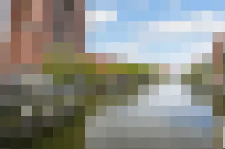 Verheeskade 343 Den Haag thumbnail 21