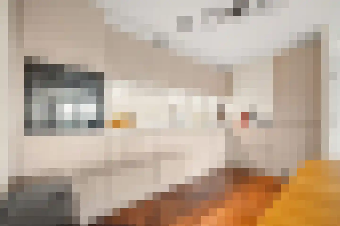Verheeskade 353 Den Haag thumbnail 17